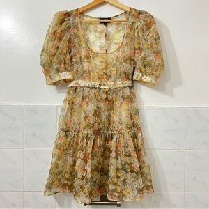 Danielle Bernstein S Floral Sheer Puff Sleeves Cottagecore Coquette Mini Dress
